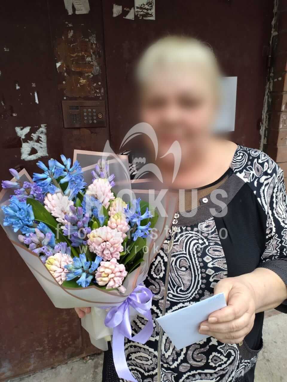 Ziedu piegāde Latvia Rīga (hiacintepistācija)
