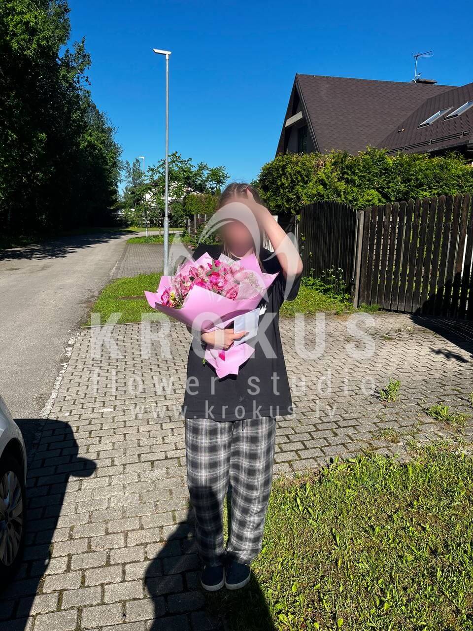 Ziedu piegāde Latvia Mārupe (celozijarozā rozeseikaliptshortenzijasbuvardija)