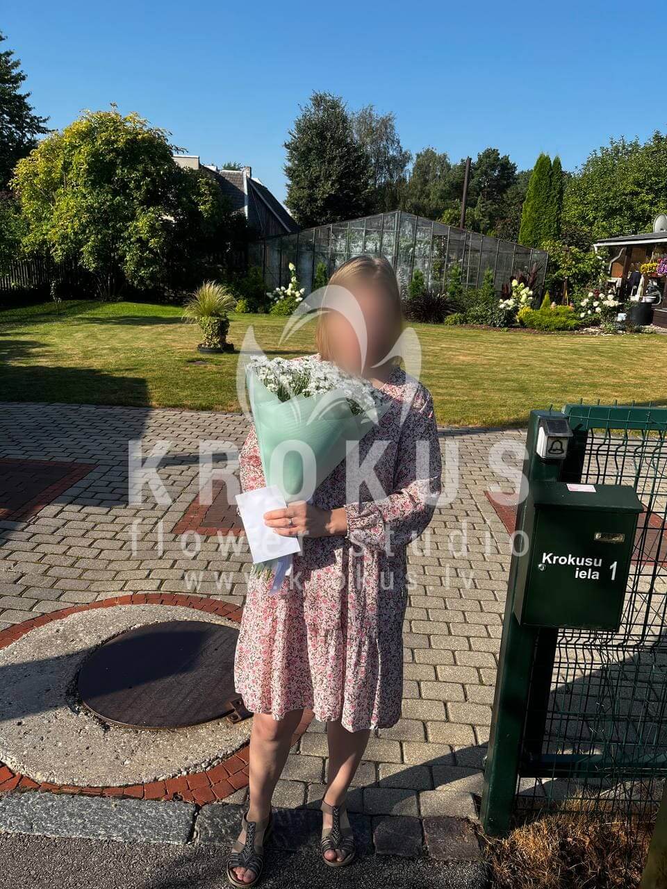 Доставка цветов в город Ziedonis (ромашкихризантемы)