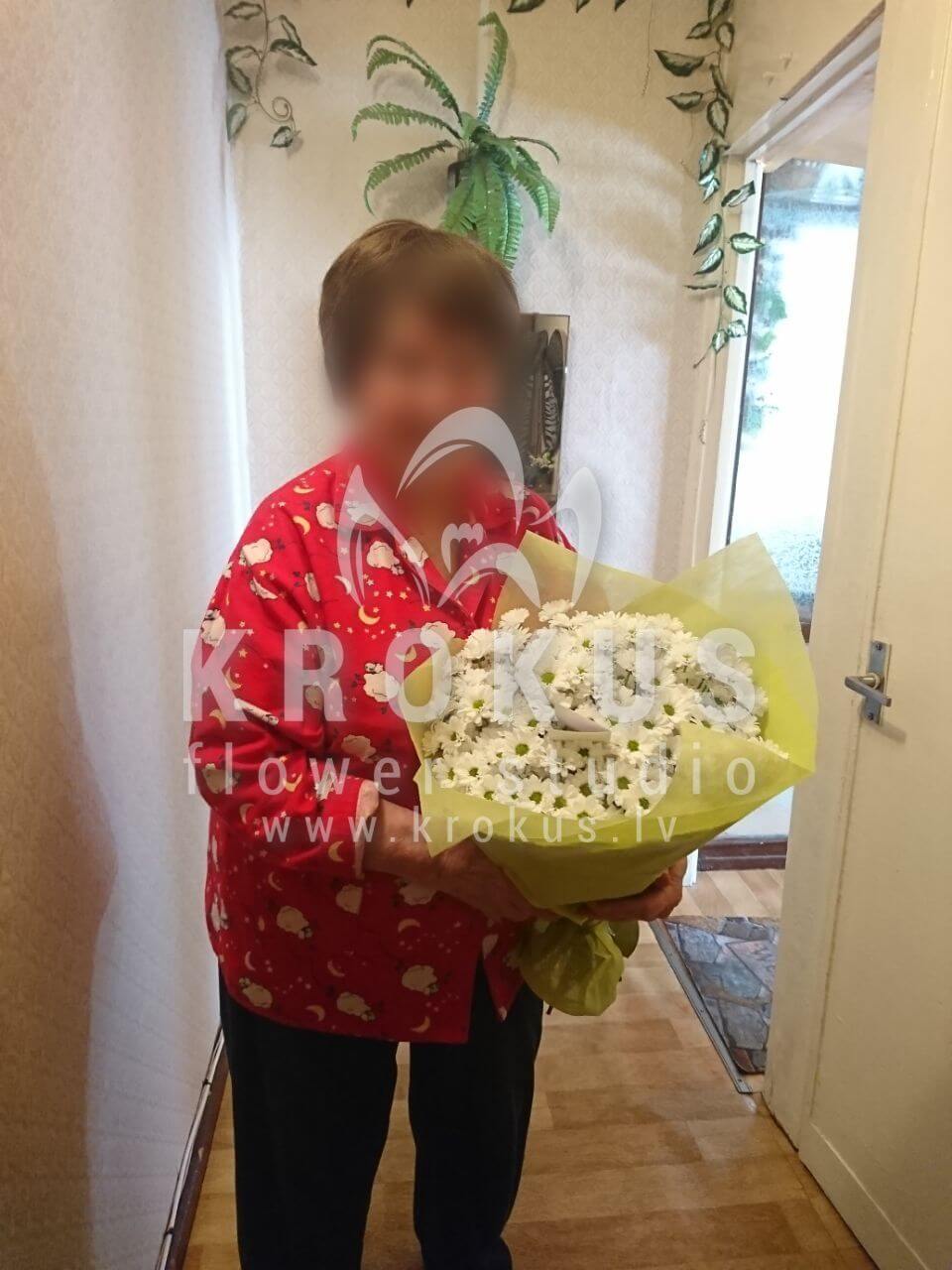 Ziedu piegāde Latvia Rīga (margrietiņas krizantēmas )