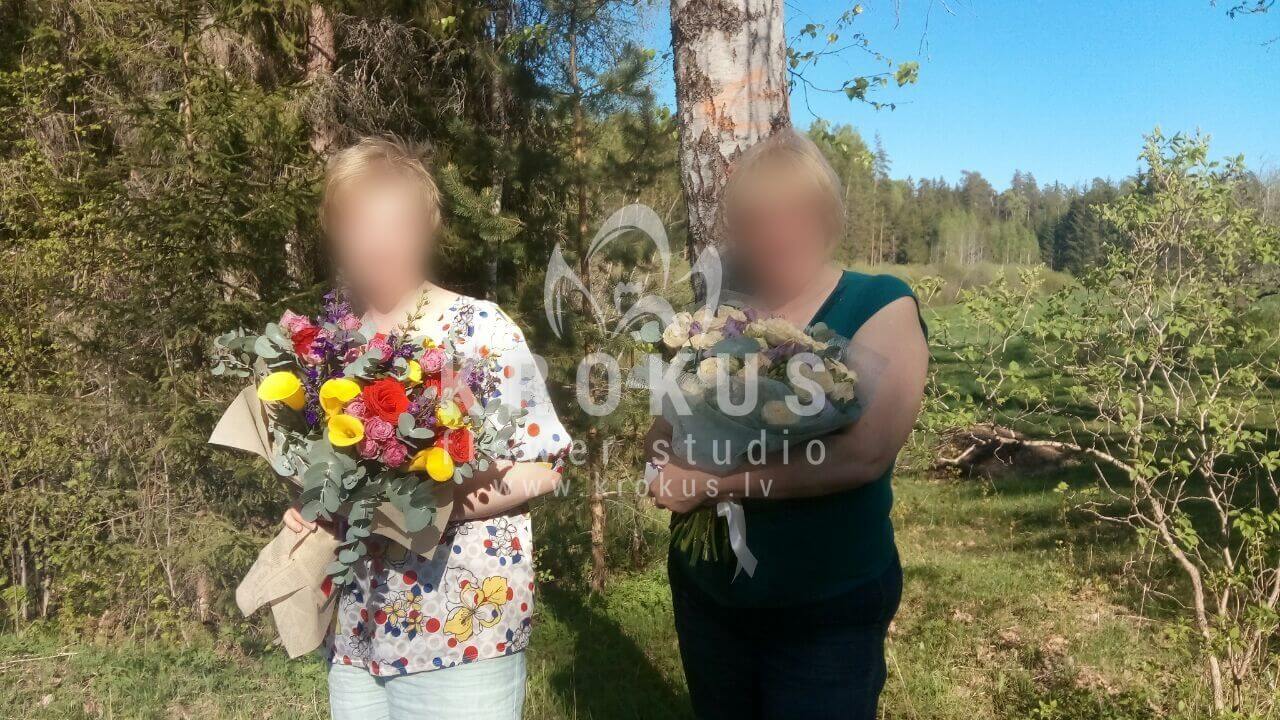 Ziedu piegāde Latvia Latvia (krūmrozesrozā rozeskallasfrēzijasoranžas rozeseikaliptsveronikaоzothamnus)