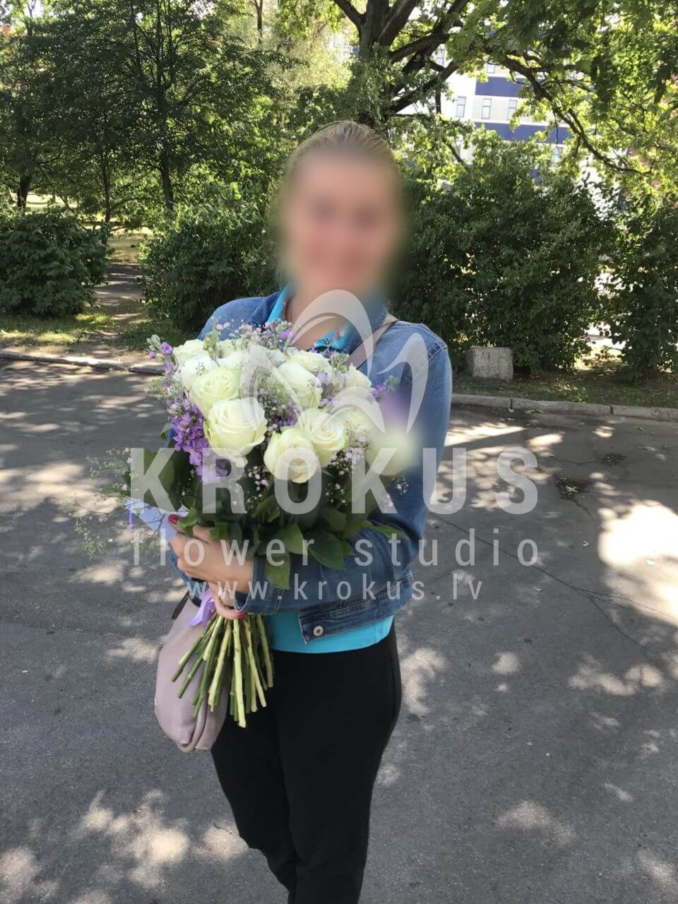 Ziedu piegāde Latvia Rīga (krūmrozesmatiolabaltas rozeswaxflowersalal (goltjēra)pitosporas)