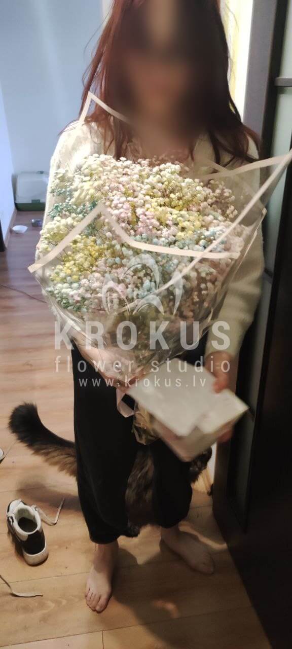 Ziedu piegāde Latvia Rīga (gypsophila (ģipsene))