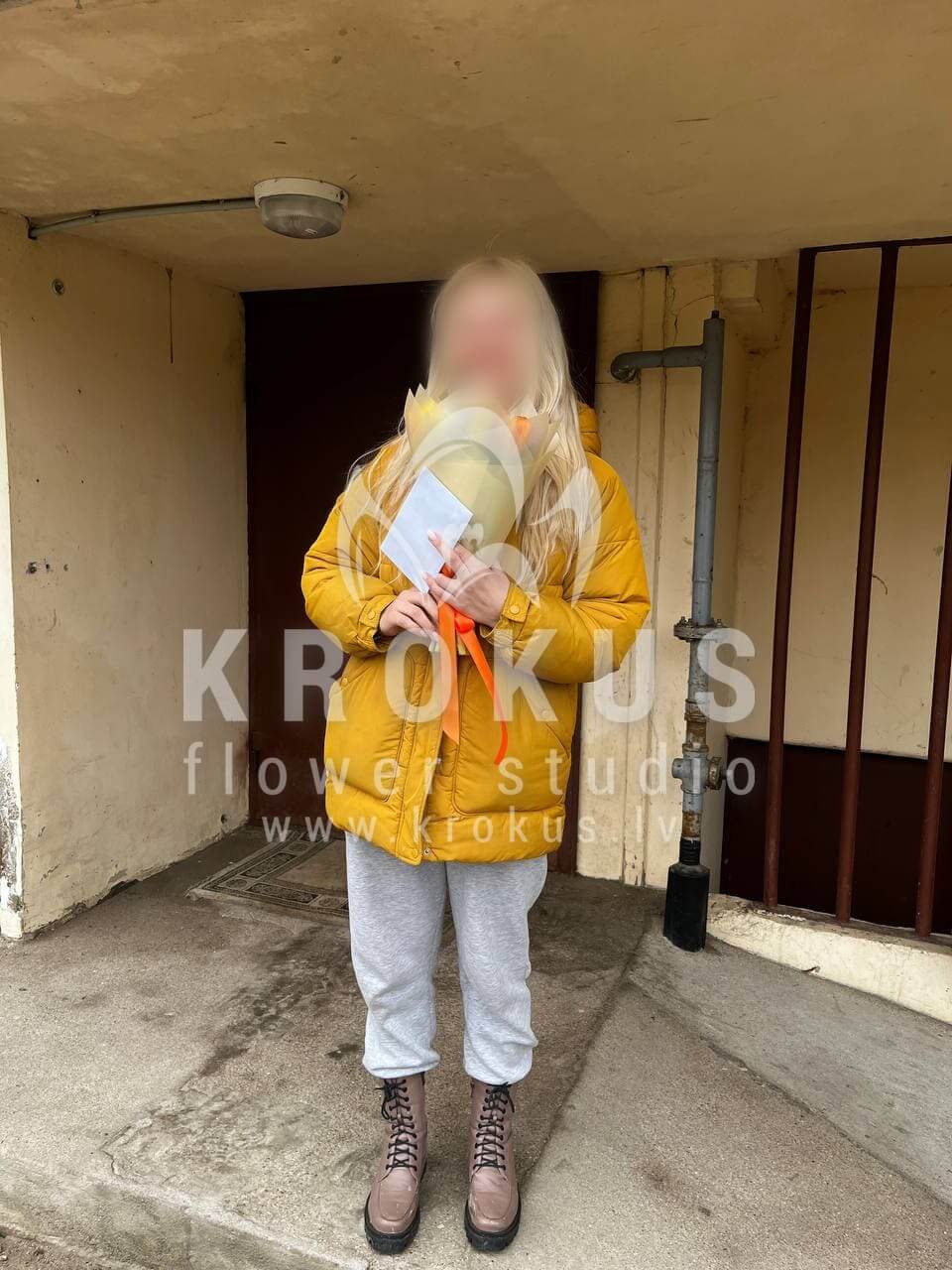 Deliver flowers to Rīga (tulips)