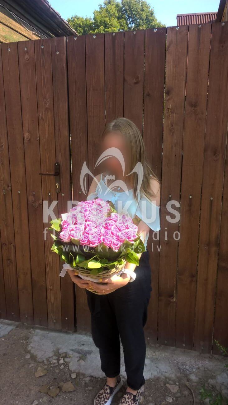 Ziedu piegāde Latvia Latvia (rozā rozesbergrasssalal (goltjēra)aspidistra)