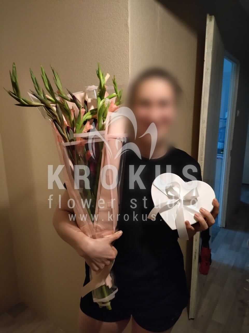 Ziedu piegāde Latvia Rīga (gladiolas)