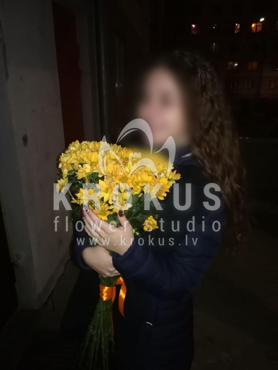 Ziedu piegāde Latvia Rīga (margrietiņas krizantēmas )