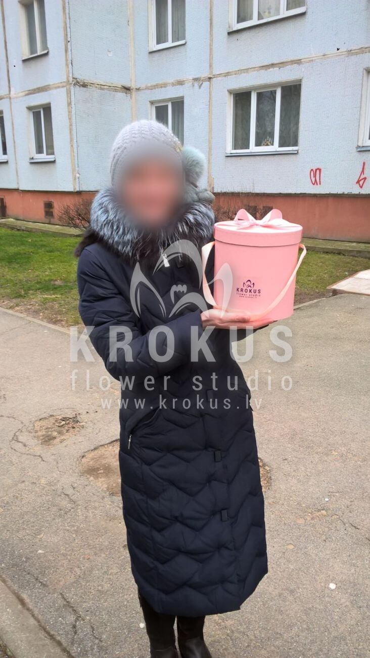 Ziedu piegāde Latvia Latvia (kaste)
