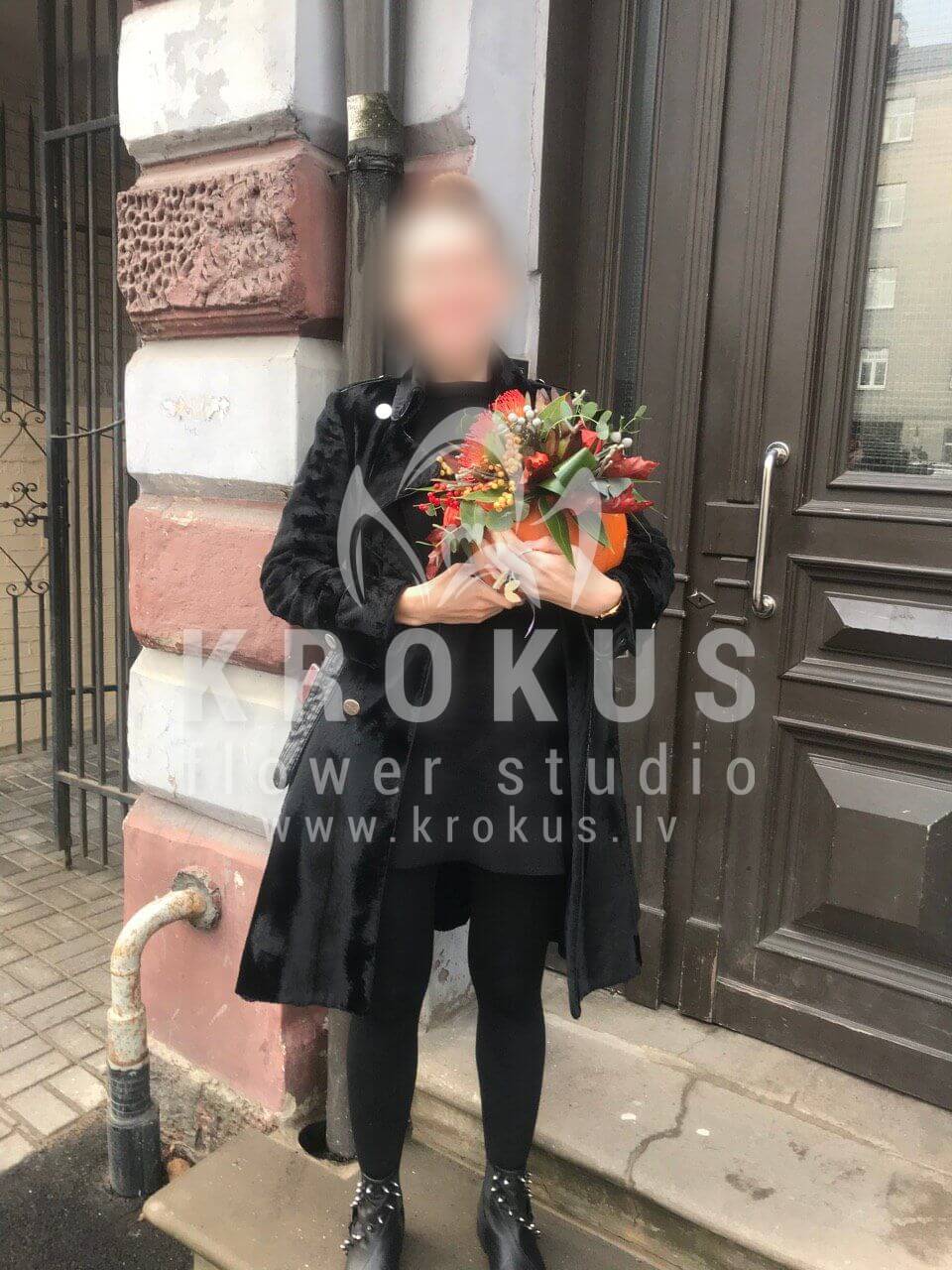 Ziedu piegāde Latvia Rīga (īlekssbrunijaleikodendronileucospermumķirbis)
