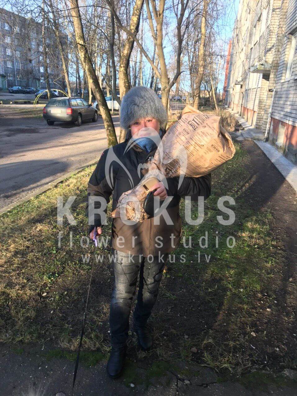 Ziedu piegāde Latvia Rīga (rozā rozesbaltas rozesoranžas rozesdzeltenas rozessarkanas rozes)