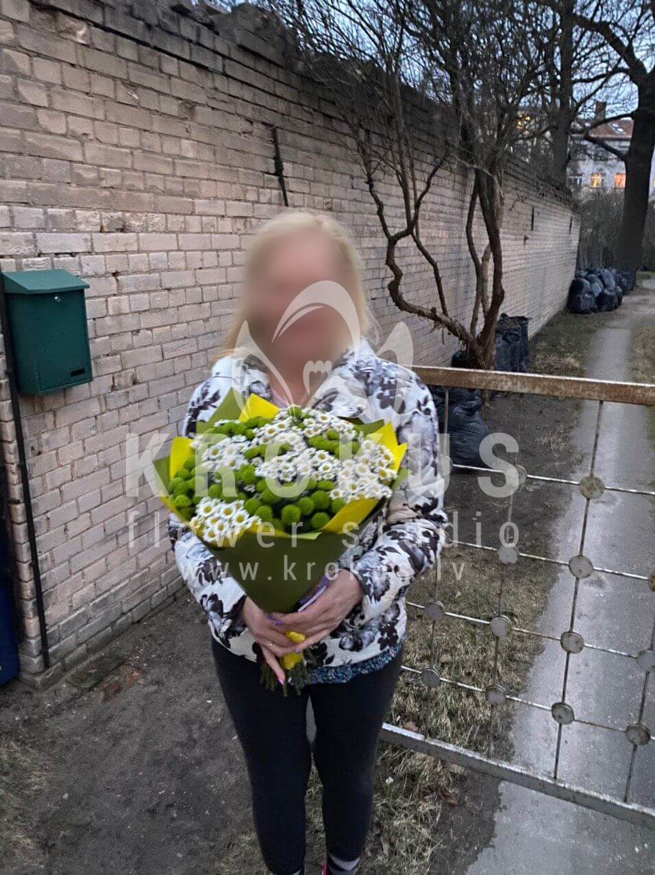 Ziedu piegāde Latvia Rīga (krūmrozeslotossorhidejasalstremērijaornithogalum (baltstarīte)eryngiumeikaliptspeonveidīgās rozessarkanas rozes)