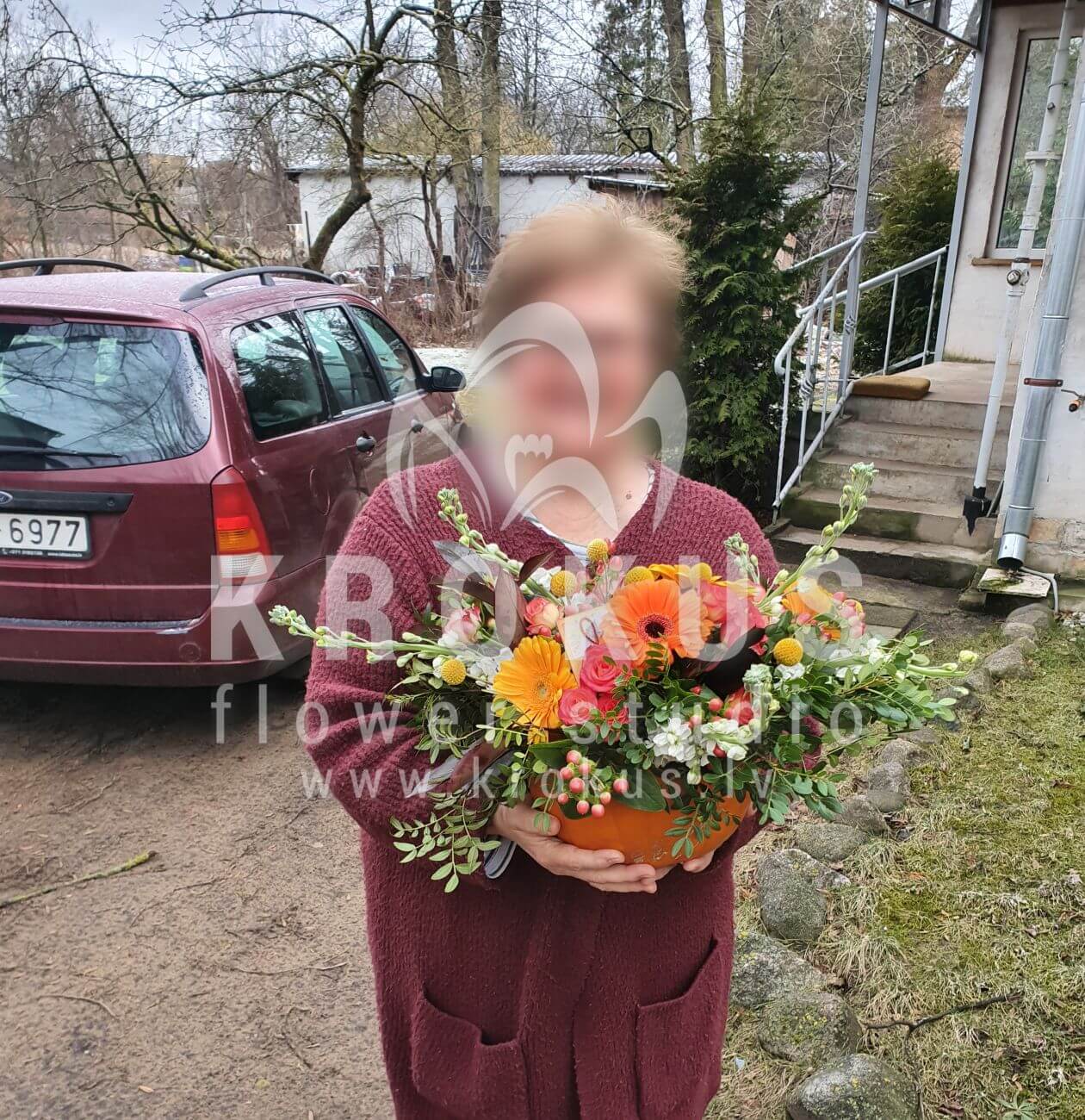 Ziedu piegāde Latvia Rīga (krūmrozeskraspēdijaīleksssaulespuķesruskusslauvmutītesķirbis)