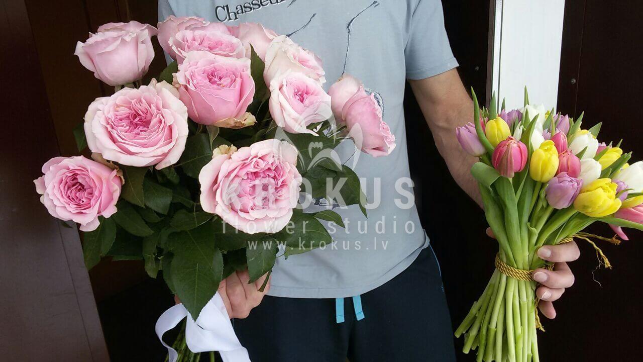 Ziedu piegāde Latvia Latvia (peonveidīgas tulpespeonijas)
