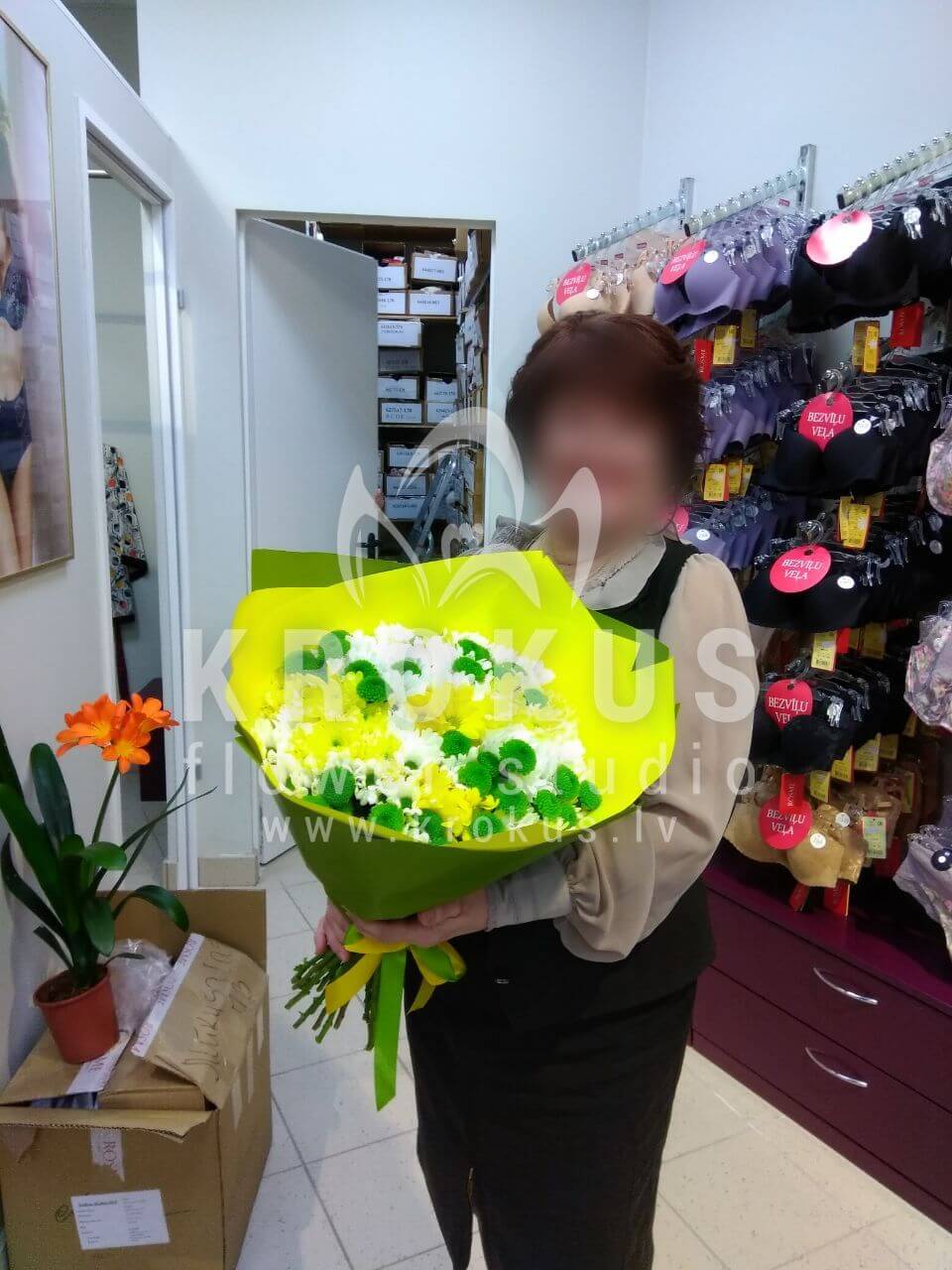 Ziedu piegāde Latvia Rīga (krūmrozeslotossorhidejasalstremērijaornithogalum (baltstarīte)eryngiumeikaliptspeonveidīgās rozessarkanas rozes)
