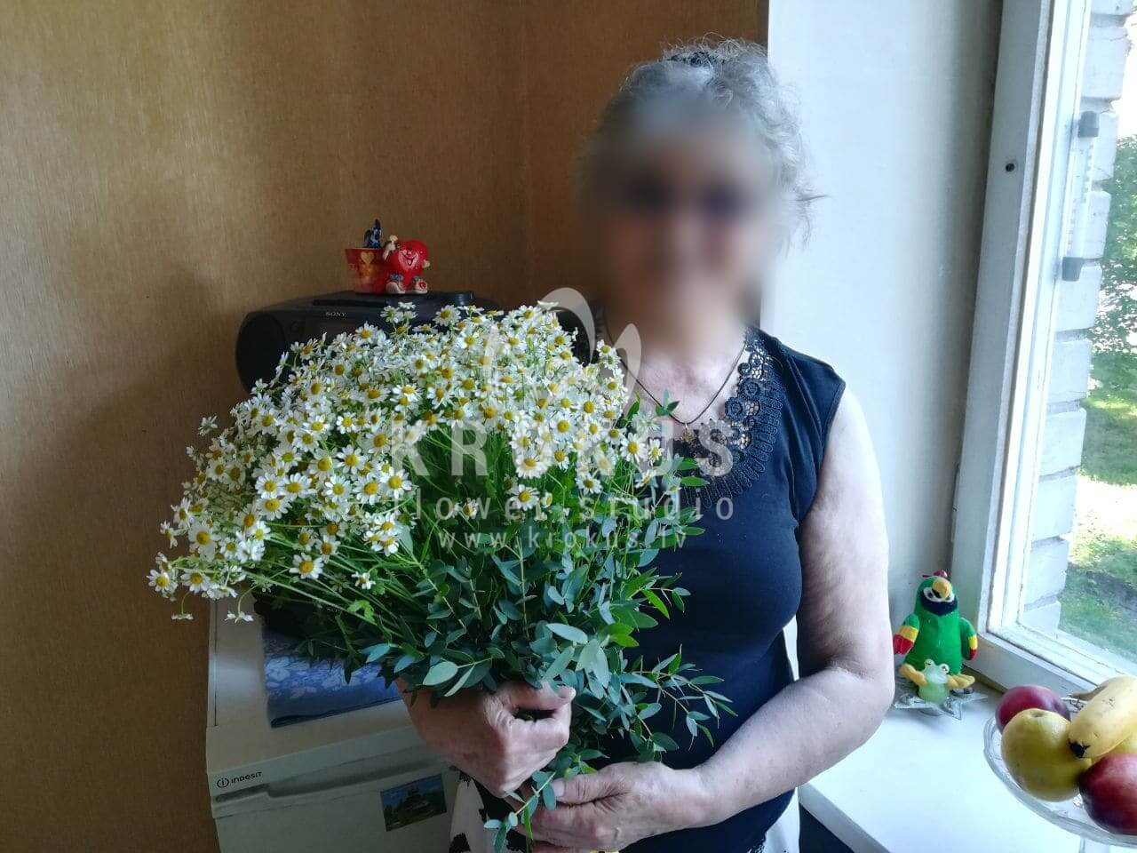 Ziedu piegāde Latvia Rīga (pļavas puķesmargrietiņas )