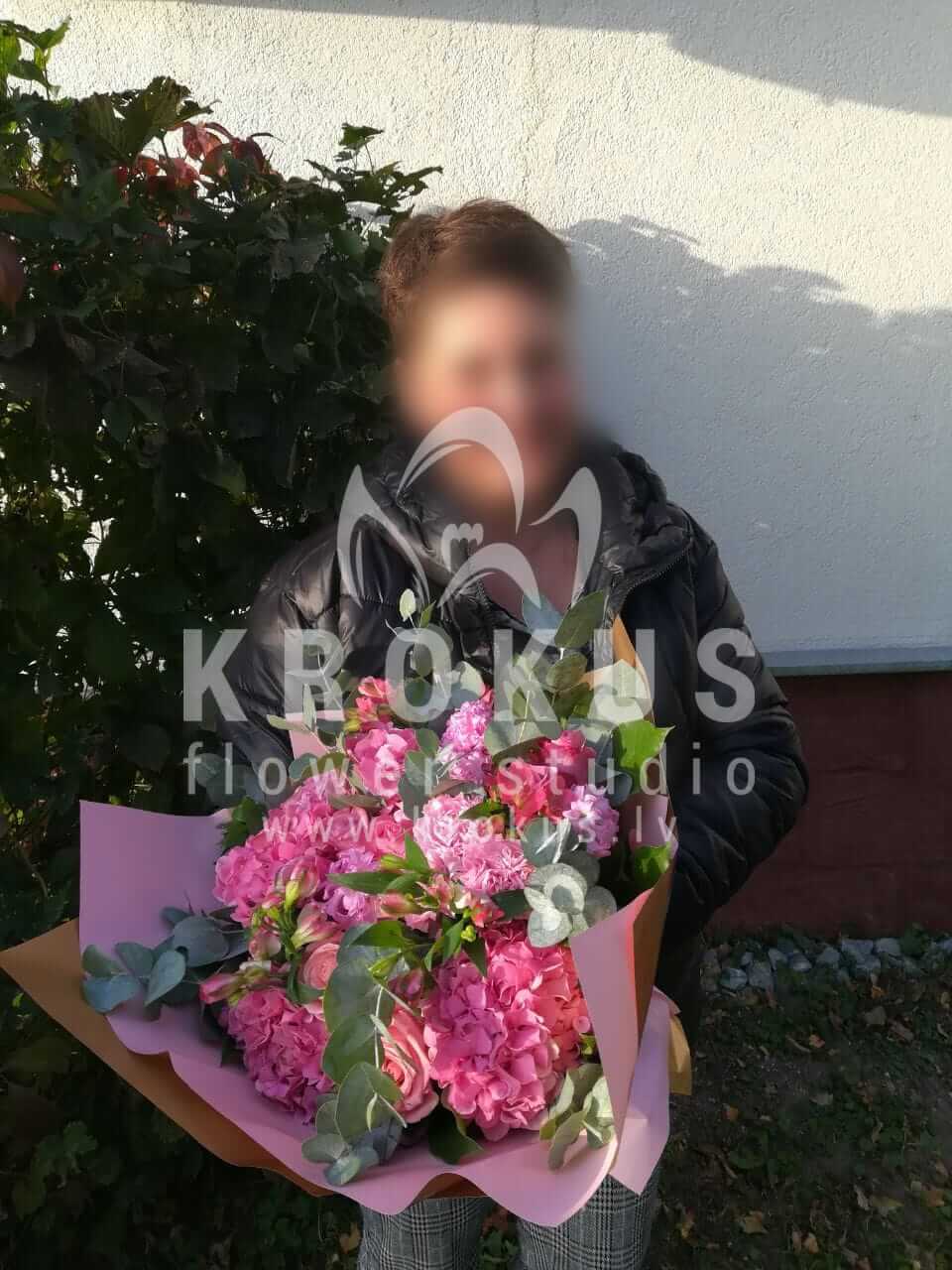 Ziedu piegāde Latvia Rīga (celozijarozā rozeseikaliptshortenzijasbuvardija)