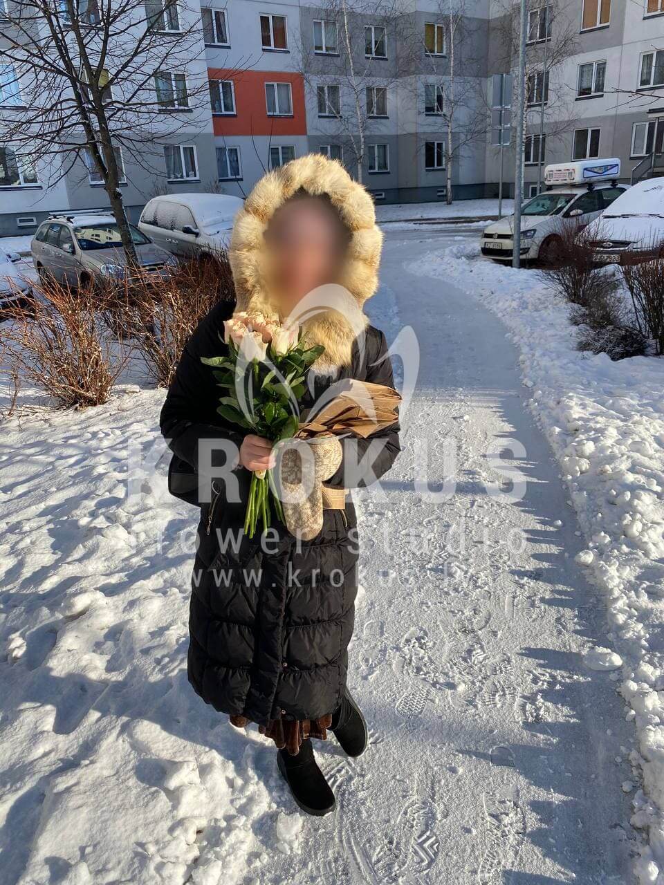 Ziedu piegāde Latvia Rīga (krēmkrāsas rozes)